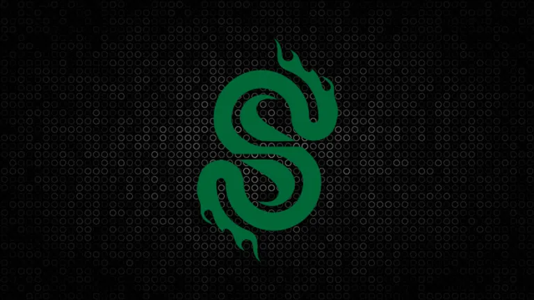 ‘I moved into the garage so the boys could have the rooms’ – SemperFi Owner